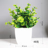Artificial Bonsai Eucalyptus Plant – Potted Home Decor