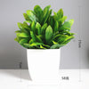 Artificial Bonsai Eucalyptus Plant – Potted Home Decor